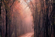 九游:英超-加拉格尔世界波 切尔西连扳两球2-2战平维拉.