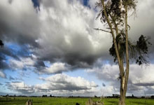 九游:埃里克射门中柱,巴萨本赛季西甲23次中框为所有球队最多.