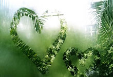 九游:老卡隆执教塞拉利昂 中超叔侄国家队聚首?.