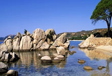 九游:体坛名场面|是可忍孰不可忍!国乒异国客场遇到如此声音,我们用实力发出最掷地有声回应.